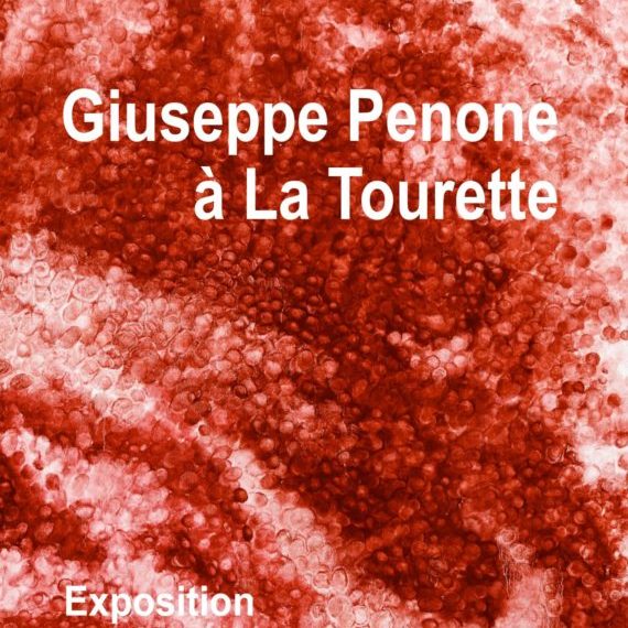 Exposition de Giuseppe Penone à la Tourette